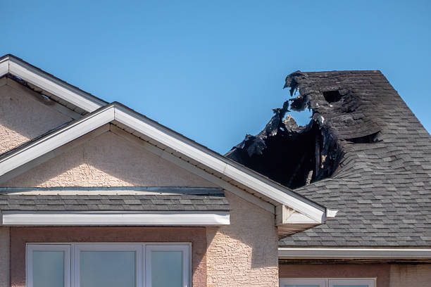 Top rated local Fire Damage Removal specialists in Browns Mills, NJ